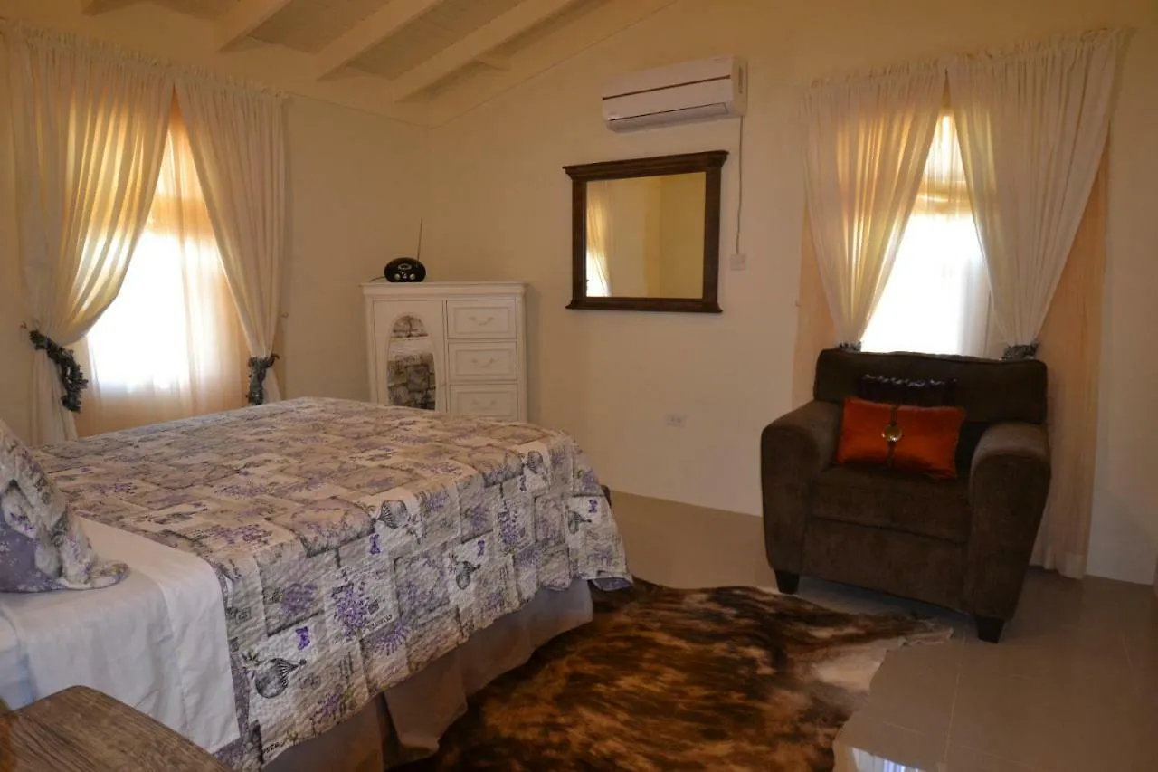 فيلا Treasure Manor Mammee Bay 0*,