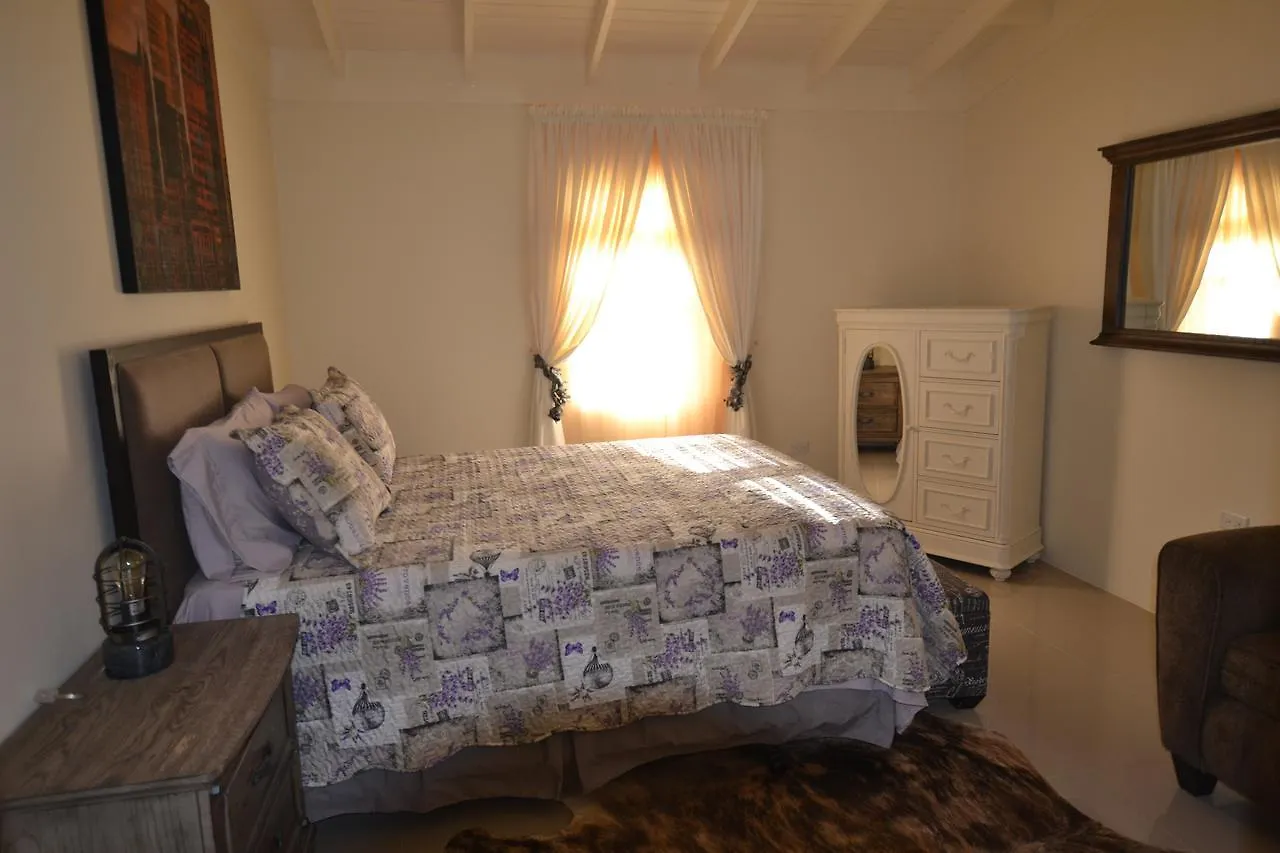 Treasure Manor Βίλα Mammee Bay